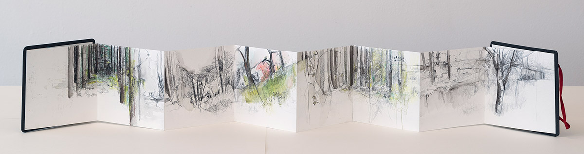 Alpi M, 2020, leporello, 14x112 cm