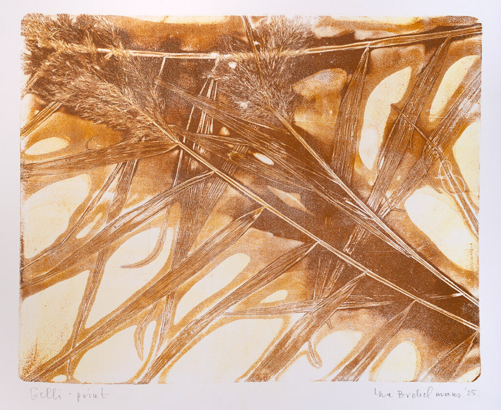 Riet 2, 2025, gelli-print, 50×65 cm